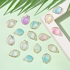 40шт. подвески из прозрачного акрила с градиентным цветом&nbsp;TACR-YW0002-49