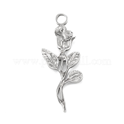 Подвески из нержавеющей стали 304 STAS-F287-22P