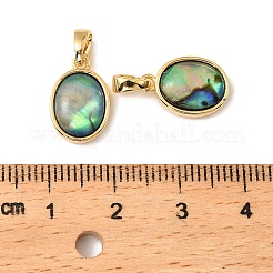 Овальные подвески из натуральной ракушки пауа KK-G538-34G