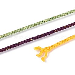 27 м сегментно окрашенные круглые полиэфирные витые шнуры OCOR-N009-02A-17