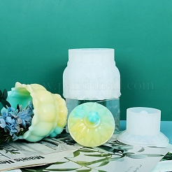 Ящик для хранения стеклянная банка Молды силиконовые Молды DIY-P019-10