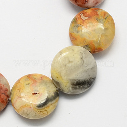Perles de pierre gemme rond et plat agate folle de pierre brins, verge d'or pale, 16x5mm, Trou: 1mm, Environ 25 pcs/chapelet, 16.5 pouce