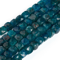 Perline apatite naturale fili, sfaccettato, cubo, 4~5x4~5x4~5mm, Foro: 0.7 mm, circa 72~76pcs/filo, 15 pollice (38 cm)
