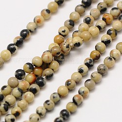 Natürlichen Edelstein Dalmatiner Jaspis runde Perlen Stränge, 2 mm, Bohrung: 0.8 mm, ca. 184 Stk. / Strang, 16 Zoll