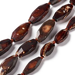 Natural Agate Beads Strands, Dyed, Faceted, Polygon, Coconut Brown, 27~45x16~18x6.5~9mm, Hole: 1.6mm, about 9~14pcs/strand, 15.75~17.32 inch(40~44cm)