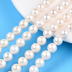 Hebras de perlas de agua dulce cultivadas naturales, redondo, blanco cremoso, 8.5~9.5mm, agujero: 0.6 mm, aproximamente 47~48 pcs / cadena, 15.55~16.14 pulgada (39.5~41 cm)