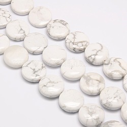 Natürliche flache runde Knistern Howlith Perlen Stränge, 20x7~9 mm, Bohrung: 1 mm, ca. 20 Stk. / Strang, 15.74 Zoll