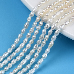 Fili di perle di perle d'acqua dolce coltivate naturali, riso, colore conchiglia, 3~5x2.5~3mm, Foro: 0.6 mm, circa 94~100pcs/filo, 13.70''~14.49'' (34.8 cm ~ 36.8 cm)
