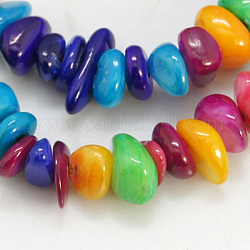 Chapelets de perles de coquillage naturel, teinte, amorphe, couleur mixte, 5~29x4~9x1~5mm, Trou: 1mm, 130~170 pcs / chapelet, 30 pouce
