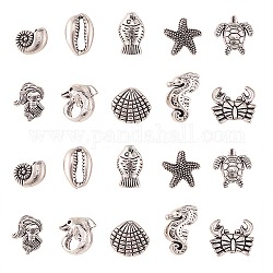 50 pièces 10 styles de perles en alliage de style tibétain, organisme marin, argent antique, 12~19x9~14x4~9mm, Trou: 1.4mm, 5 pièces / style