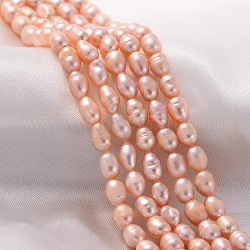 Brins de perles de culture d'eau douce naturelles, riz, couleur naturelle, perle rose, 4~5mm, Trou: 0.8mm