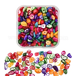 Abalorios naturales de concha teñidos, chip, colorido, 5~14x5~10mm, agujero: 1 mm, 70 g / caja