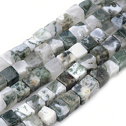 Natural Tree Agate Beads Strands, Cube, 4~5x4~5x4~5mm, Hole: 1mm, about 80~82pcs/strand, 14.9 inch
