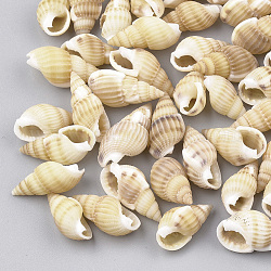 Perles de coquillages en spirale, pas de trous / non percés, blé, 10~18x5~10x5~8mm