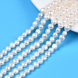 Fili di perle di perle d'acqua dolce coltivate naturali, patata, colore conchiglia, 6~7.5x6.5~8x4~6mm, Foro: 0.8 mm, circa 53~54pcs/filo, 13.98 pollice ~ 14.25 pollici (35.5 cm ~ 36.2 cm)