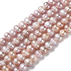 Fili di perle di perle d'acqua dolce coltivate naturali, patata, grado A +, marrone rosato, 4~7x4.5~5mm, Foro: 0.5 mm, circa 69pcs/filo, 13.27~13.62 pollice (33.7~34.6 cm)