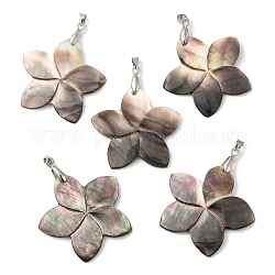 Natural Black Lip Shell Pendants, Flower Charms with Platinum Plated Alloy Snap on Bails, Black, 37~37.5x39x2~2.5mm, Hole: 4x3.5mm