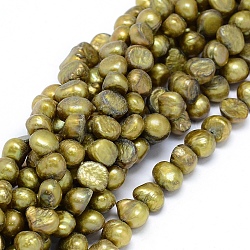Brins de perles de culture d'eau douce naturelles, teinte, pépites, olive, 8~9x7~8x5~6mm, Trou: 0.8mm, Environ 49 pcs/chapelet, 14.5 pouce (37 cm)