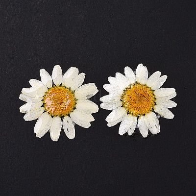 Кабошоны цветка из непрозрачной смолы RESI-L036-07C-1