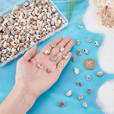 170 г натуральных спиральных бусин из ракушек BSHE-PH0001-44-1