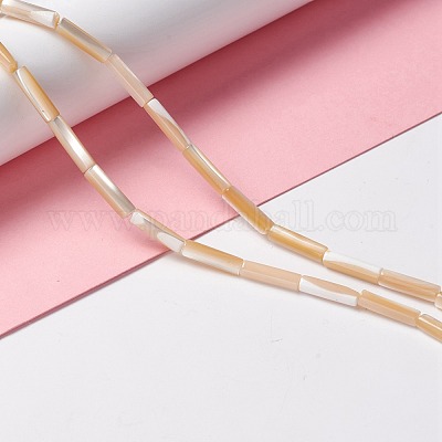 Бусины из натуральных трохоидных/трохус ракушек&nbsp;SSHEL-O001-26A-1