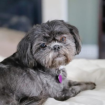 30шт 10 цвета алюминиевые заготовки подвески ALUM-FH0001-07-1