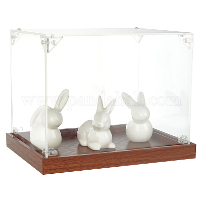 Прозрачные акриловые витрины AJEW-WH0475-57-1