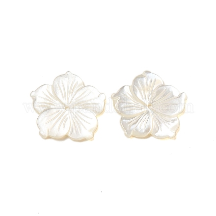 Натуральные белые бусины из ракушек SHEL-M021-08C-1