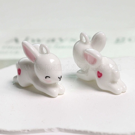 Подвески из непрозрачной смолы&nbsp;LS-RESI-S022-02-1