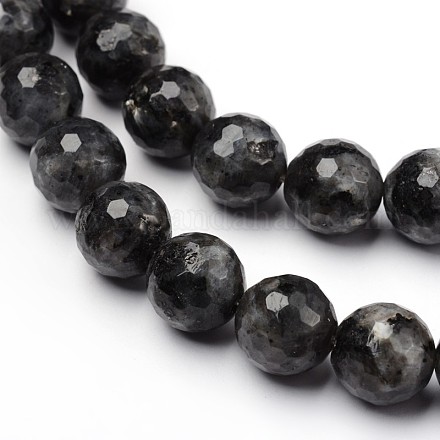Faceted Natural Larvikite Round Bead Strands G-L377-18-12mm-1