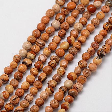 Natural Picture Jasper Beads Strands G-P177-02-1