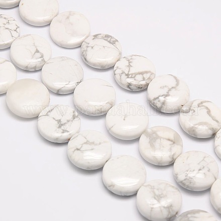 Natural Flat Round Crackle Howlite Beads Strands G-L246-04-1