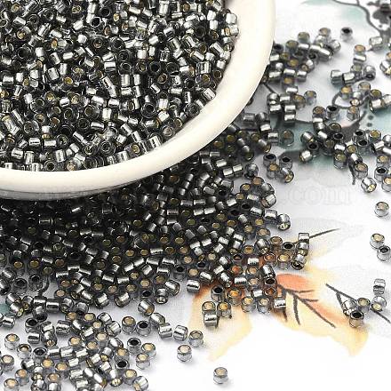 Glass Seed Beads X-SEED-S042-04B-31-1