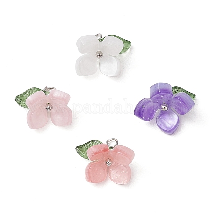 4шт 4 цвета подвески из смолы PALLOY-TA00213-02-1