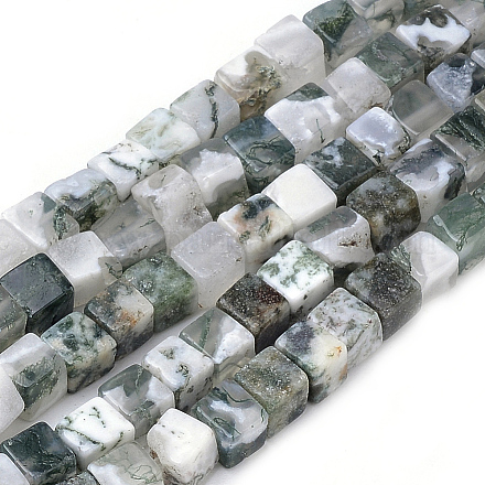 Chapelets de perles en agate d'arbre naturelle X-G-R451-02-1