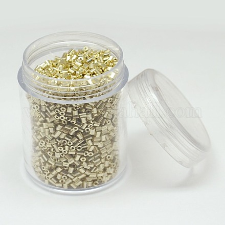 Boxed Electroplate Glass 11/0 Two Cut Seed Beads SEED-A014-11-QA05-B-1