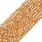 Glass Beads Strands, AB Color Plated, Faceted, Bicone, Goldenrod, 2.9~3.3x2mm, Hole: 0.5mm, about 135~140pcs/strand, 38~40cm