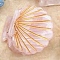 Cellulose Acetate(Resin) Shell Shape Hair Claw Clips, Small Tortoise Shell Hair Clip for Girls Women, Pink, 23.5x26x19mm