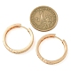 Серьги-кольца из латуни с прозрачным кубическим цирконием EJEW-M090-01G-06-5