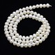 Natural Cultured Freshwater Pearl Beads Strands PEAR-L001-F-13-3