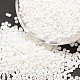 12/0 Glass Seed Beads SEED-J014-F12-41-1