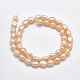 Natural Cultured Freshwater Pearl Beads Strands PEAR-K003-16-2