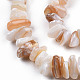 Eau douce naturelle de coquillage perles brins SHEL-N026-210-3