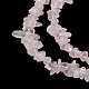 Natural Rose Quartz Beads Strands G-G0003-B35-5