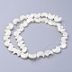 Shell normal de perles blanches de brins SSHEL-12X11-2