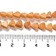 Brins de perles de dolomite naturelles G-F765-H03-01-5