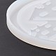 Ciondoli fai da te stampi in silicone DIY-E049-06-5