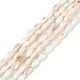 Brins de perles d'eau douce naturelles teints en coquille SHEL-M018-13-13-2