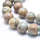 Natürliche Aqua Terra Jaspis Perlen Stränge G-N0128-48-12mm-3