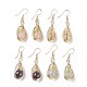 Natural Mixed Stone Dangle Earrings EJEW-F223-07-1